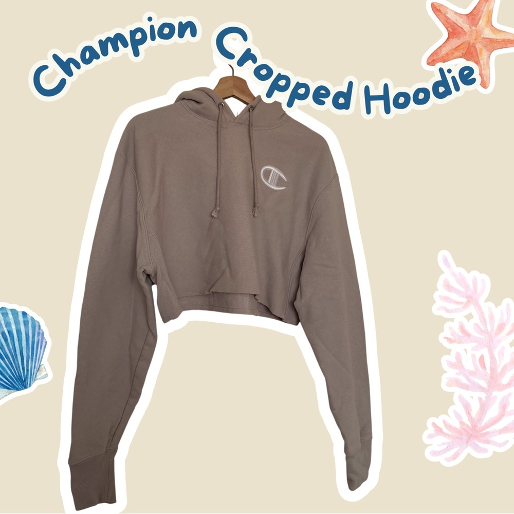 Champion Cropped Hoodie in Taupe Brown